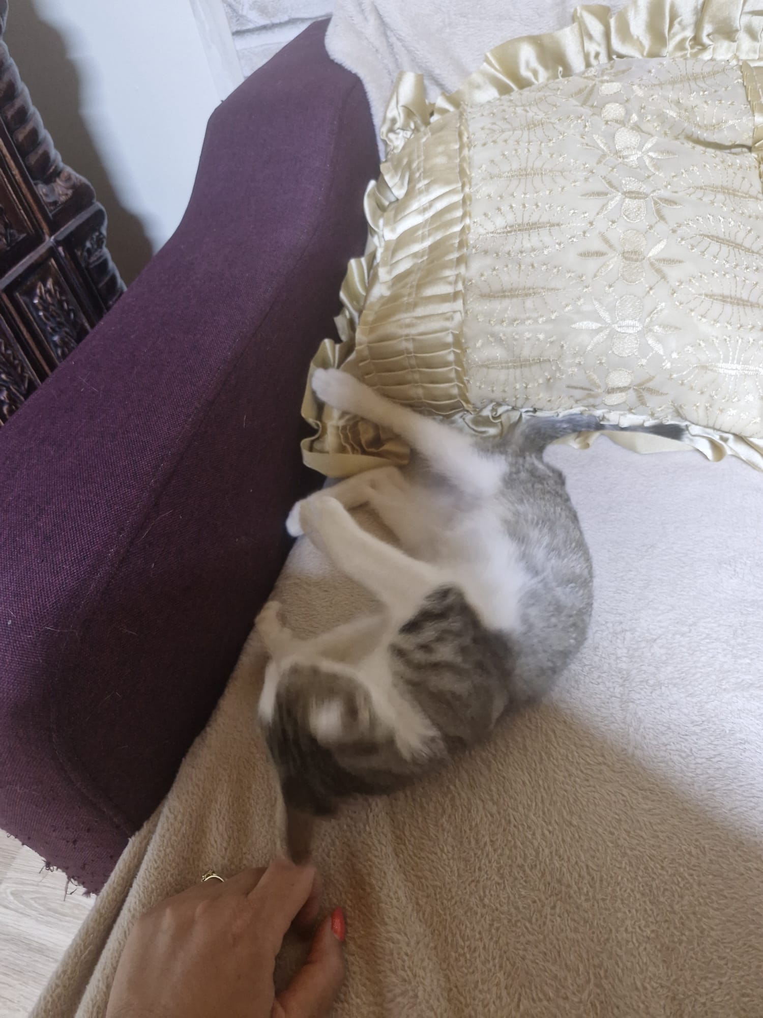 Thomas
